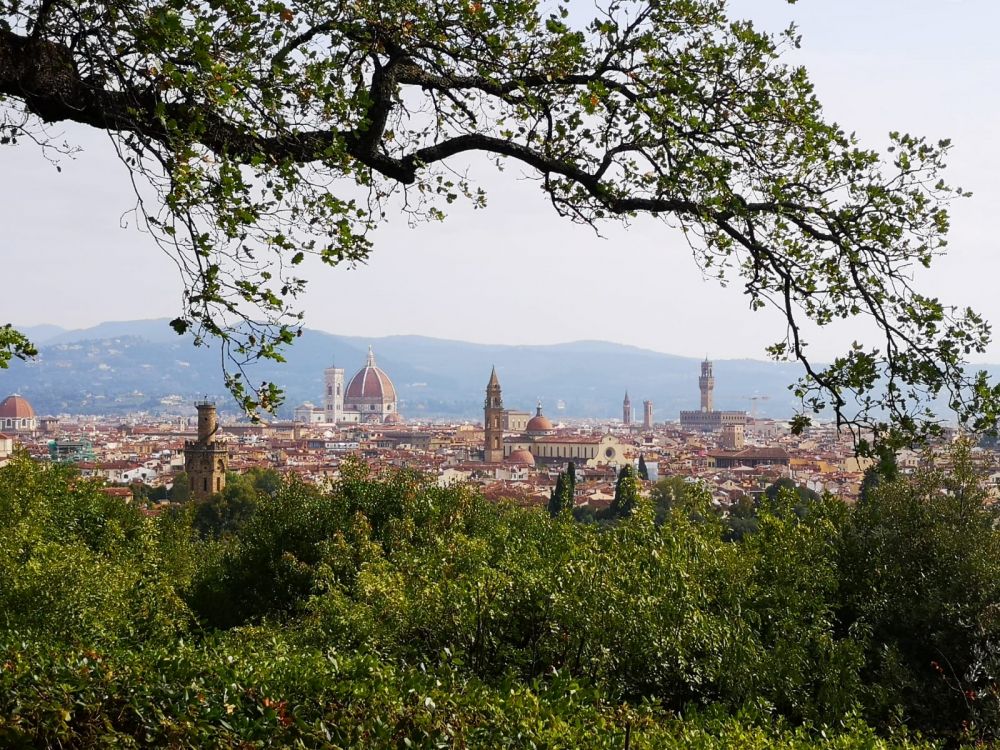 Giardino di Villa Brewster