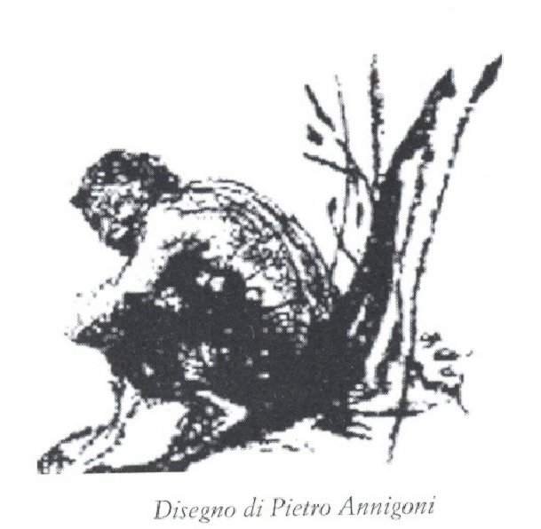 Accademia il Fauno. Associazione Culturale «Giovanni Arcidiacono»