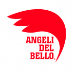 Fondazione Angeli del Bello Onlus